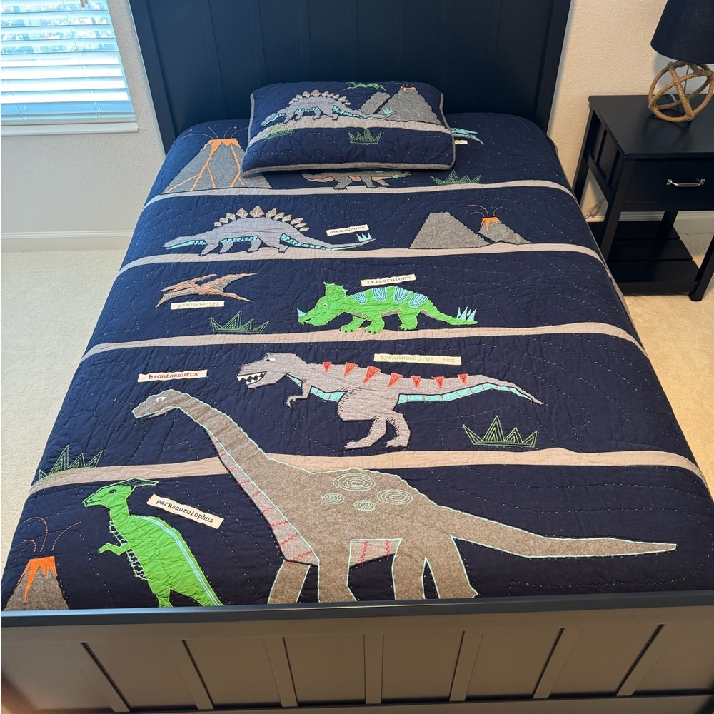 Pottery Barn Kids Twin Dinosaur quilt and sham